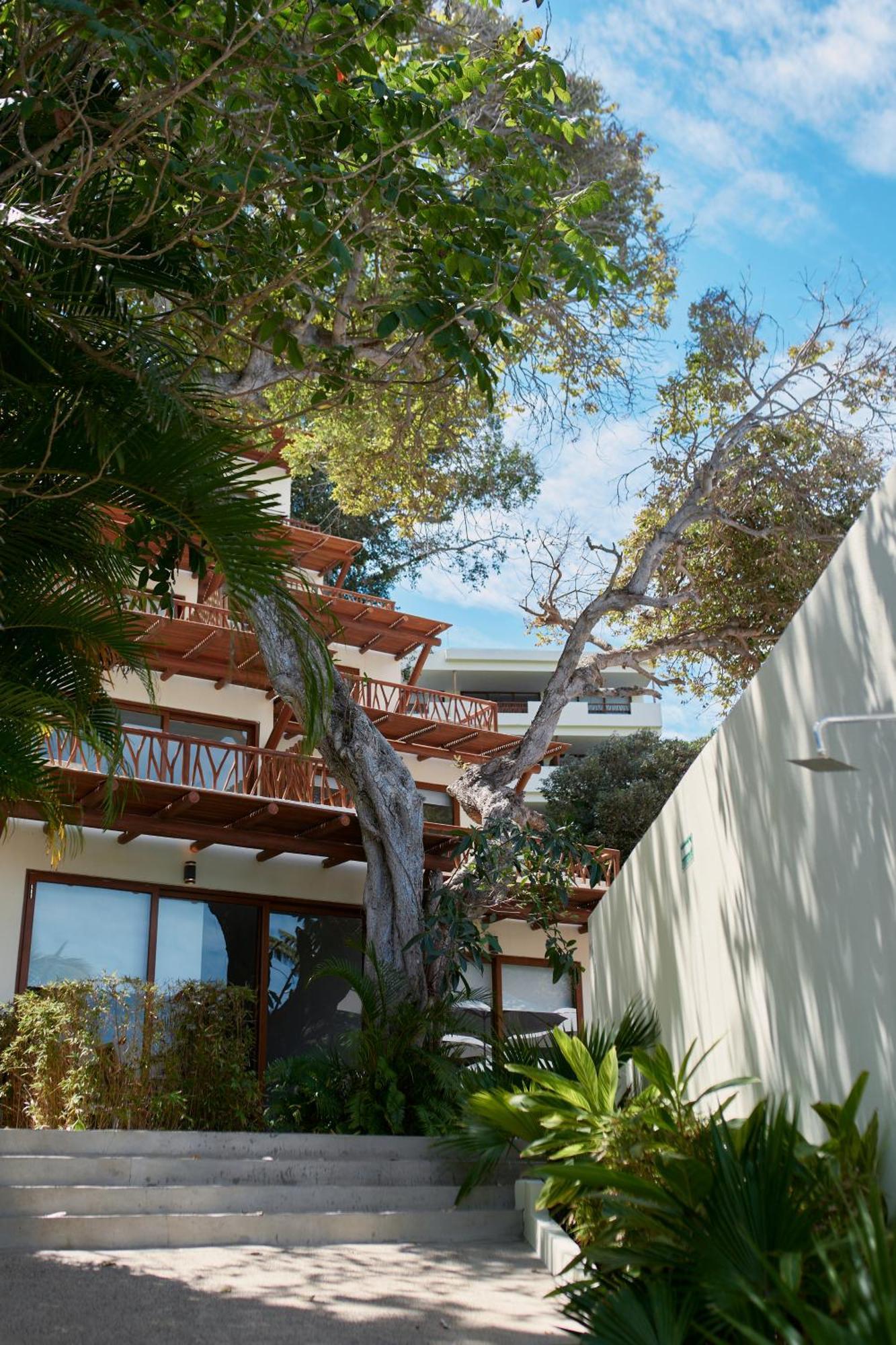 Ysuri Sayulita - Beachfront Hotel Zewnętrze zdjęcie